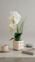 Everlasting Orchid Bubble Pot